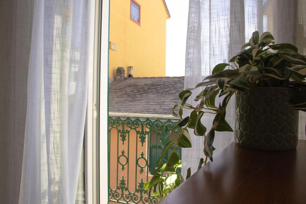 246 - Casa Marta, Centro Storico, 140metri Dalla Baia Del Silenzio Patrimonio Unesco E Mare